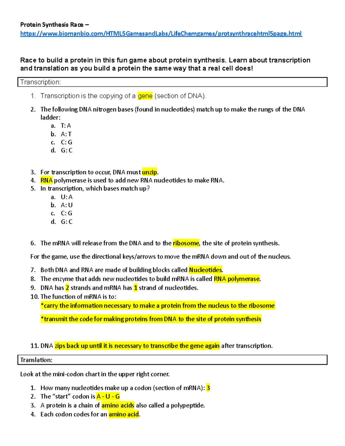 Protein Synthesis Race worksheet Stensgaard - StuDocu Intended For Protein Synthesis Review Worksheet Answers