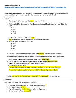 Protein Synthesis Race worksheet Stensgaard - Protein Synthesis Race – -  Studocu