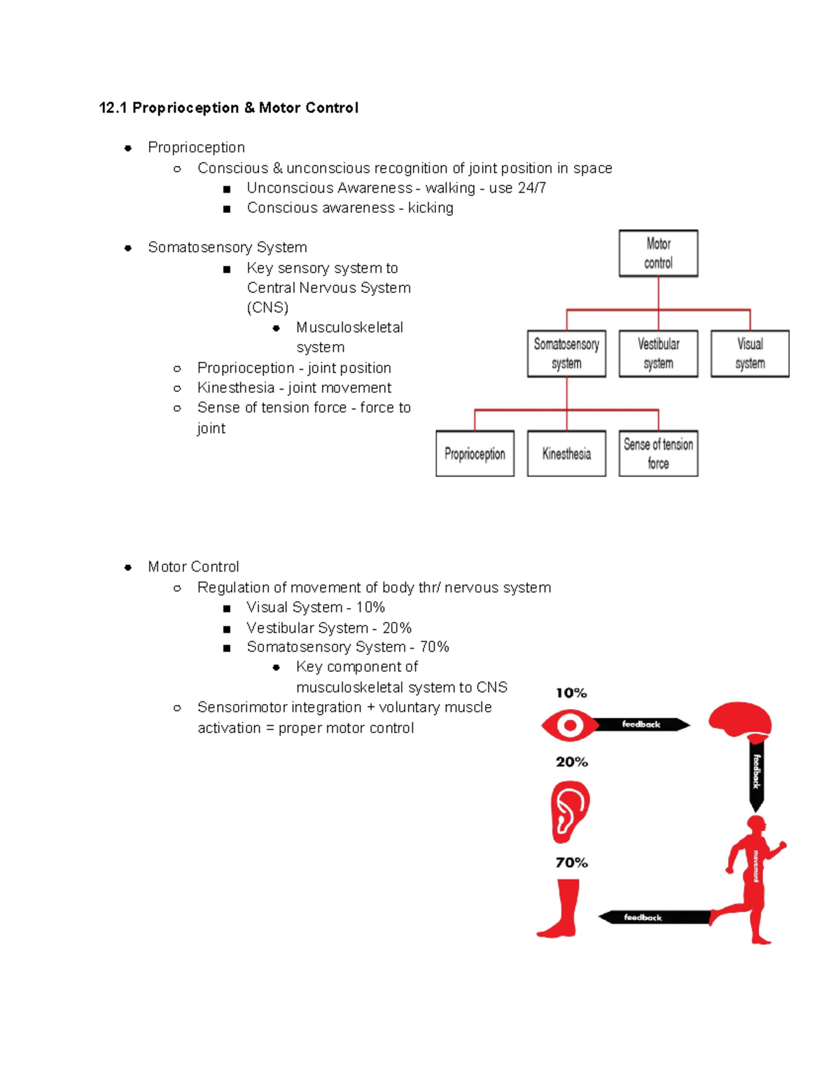 12 Proprioception - Ch. 13 - 12 Proprioception & Motor Control ...