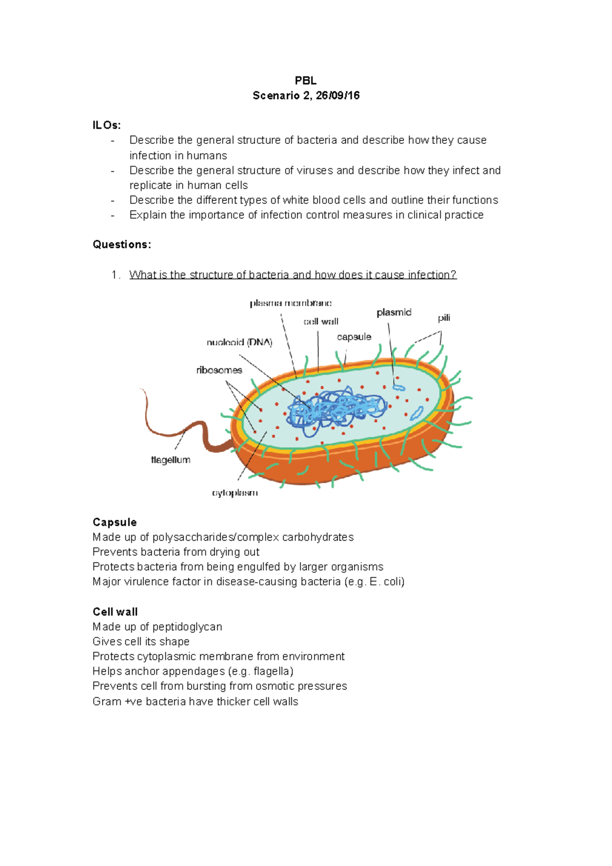 Year 1 PBL Bacteria, Viruses - PBL Scenario 2, 26/09/ ILOs: - Describe ...