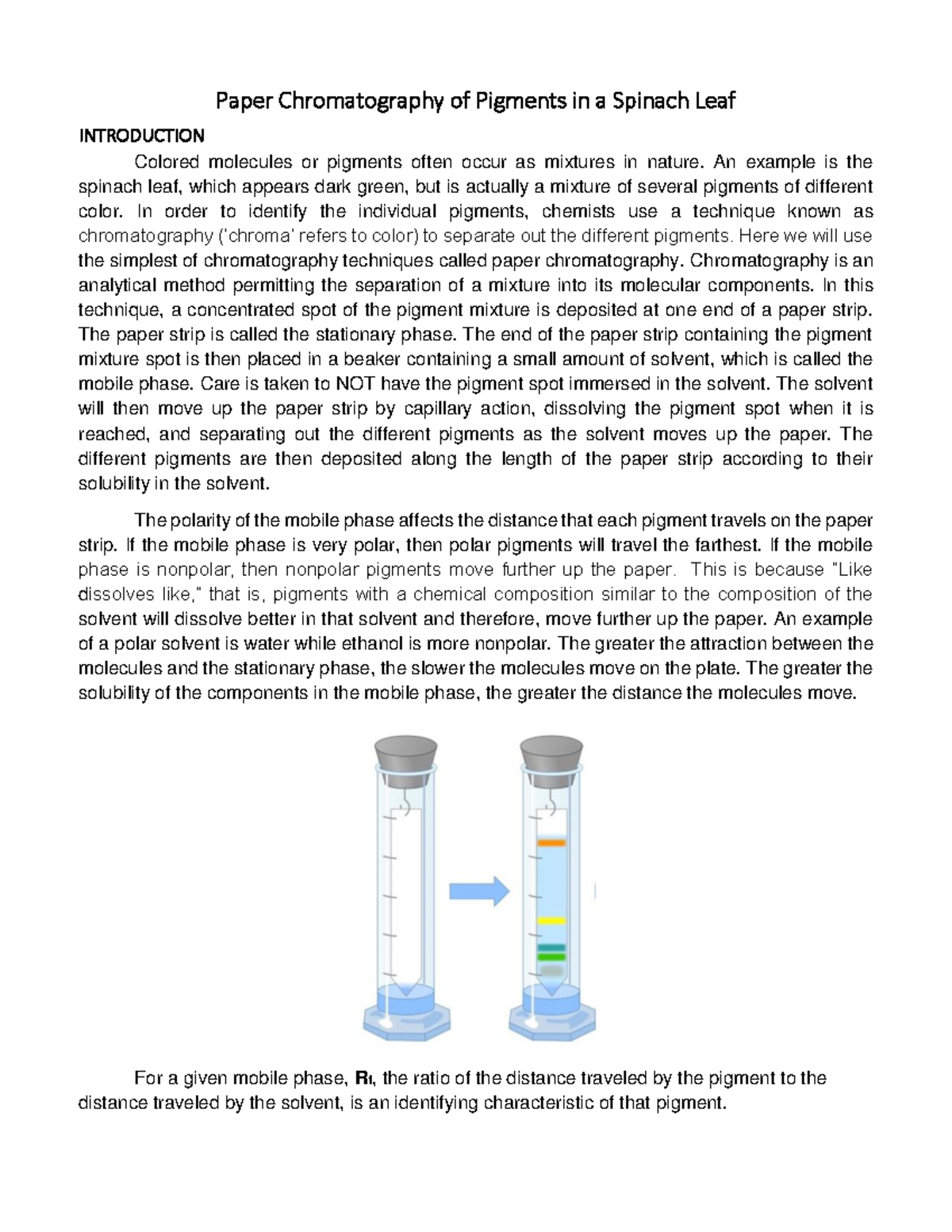 Colored paper chromatography of pigments in a spinach leaf Chem1004