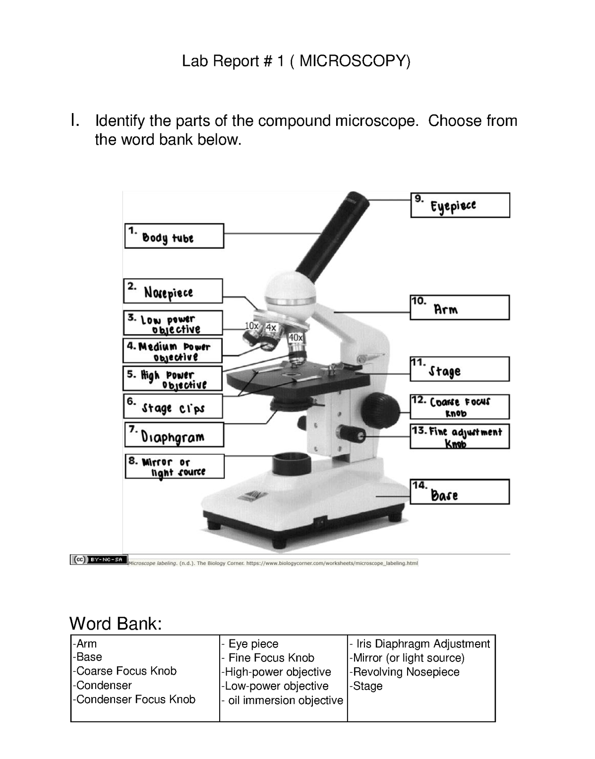 Microscope - Lab Report # 1 ( MICROSCOPY) I. Identify the parts of the ...