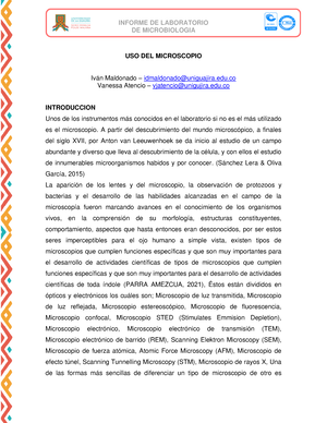 Informe 2 Tincion De Gram - Tinción De Gram Mendoza Arrieta Angie ...