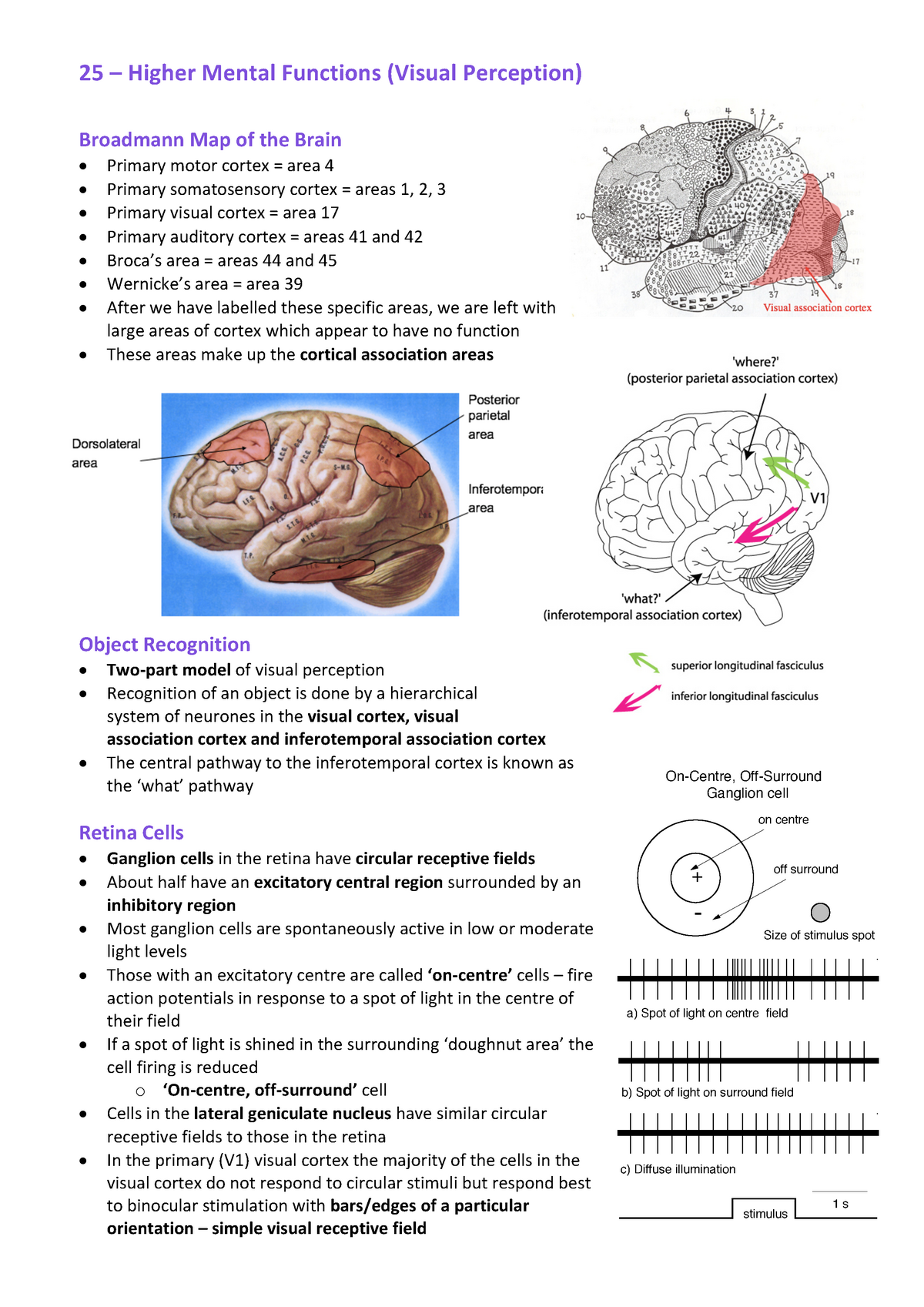 24 Higher Mental Functions - 25 – Higher Mental Functions (Visual ...