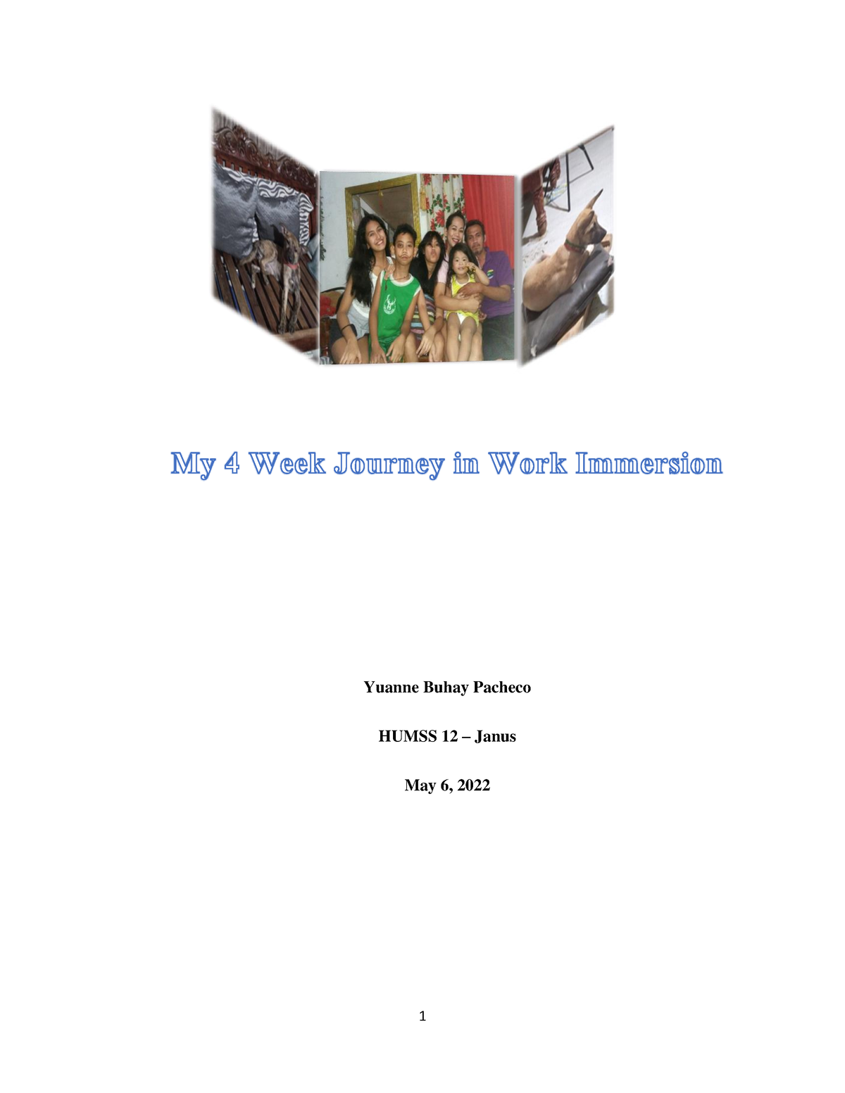 my journey in work immersion