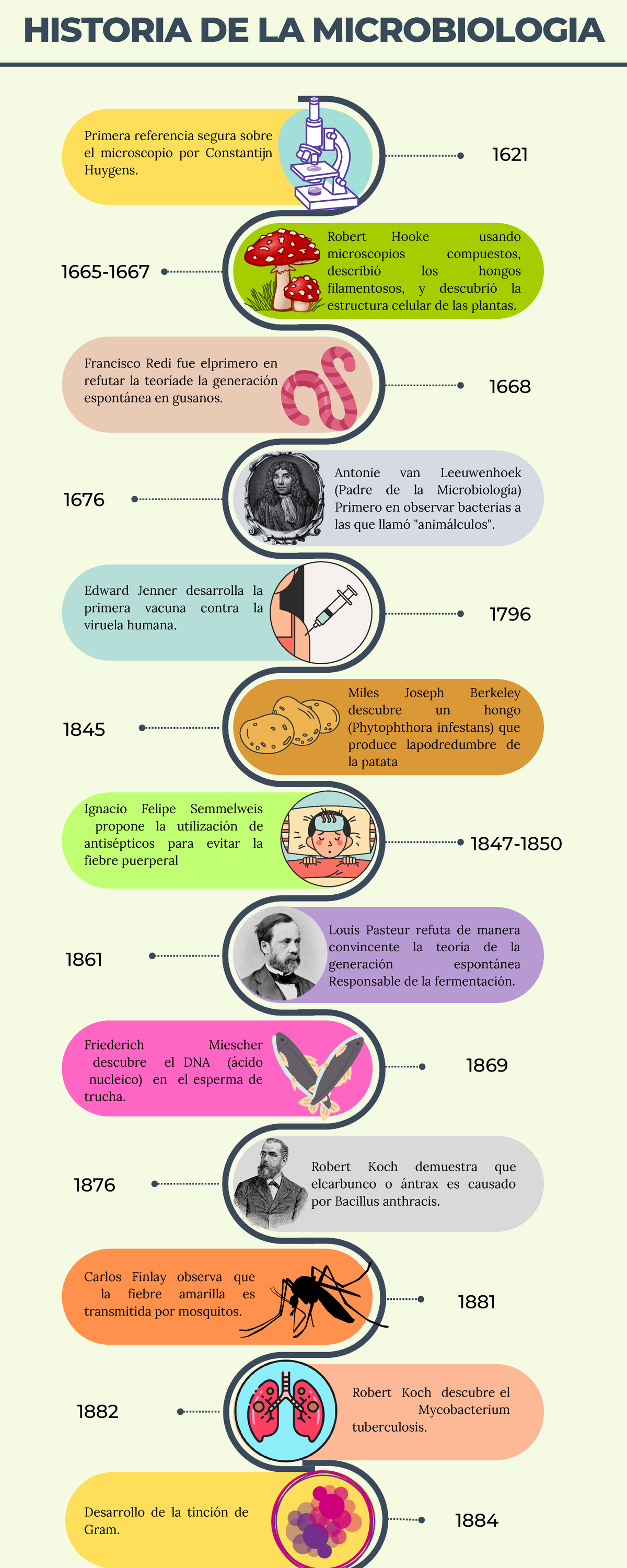 Infografía línea de tiempo cronológica multicolor - HISTORIA DE LA ...