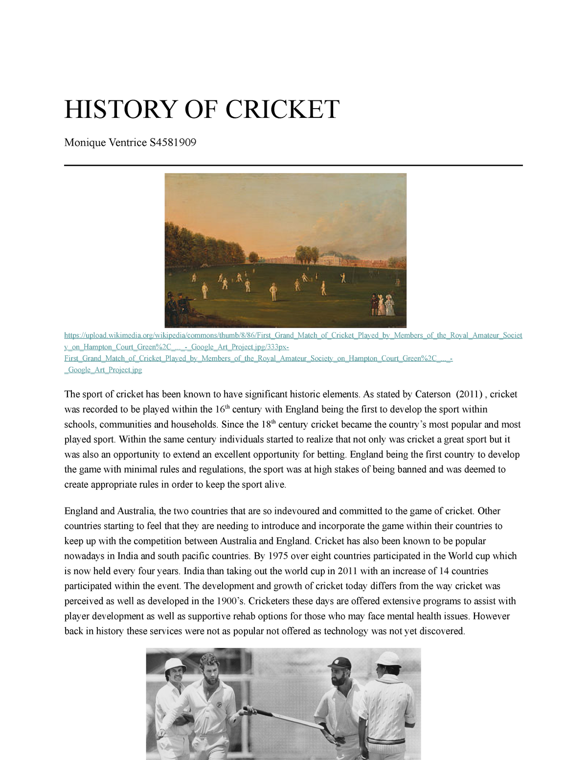 history of cricket essay