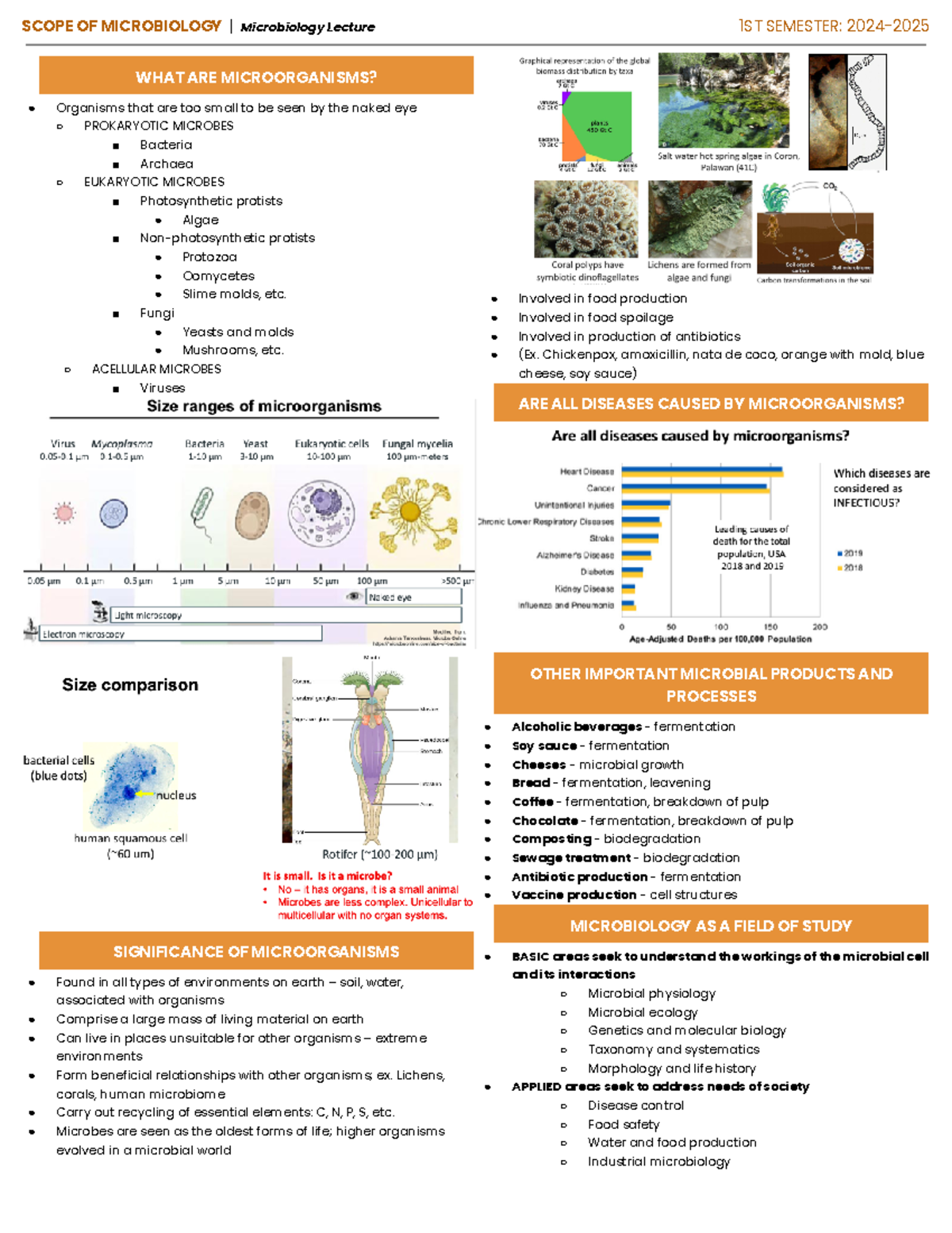 Scope Of Microbiology - SCOPE OF MICROBIOLOGY | Microbiology Lecture ...