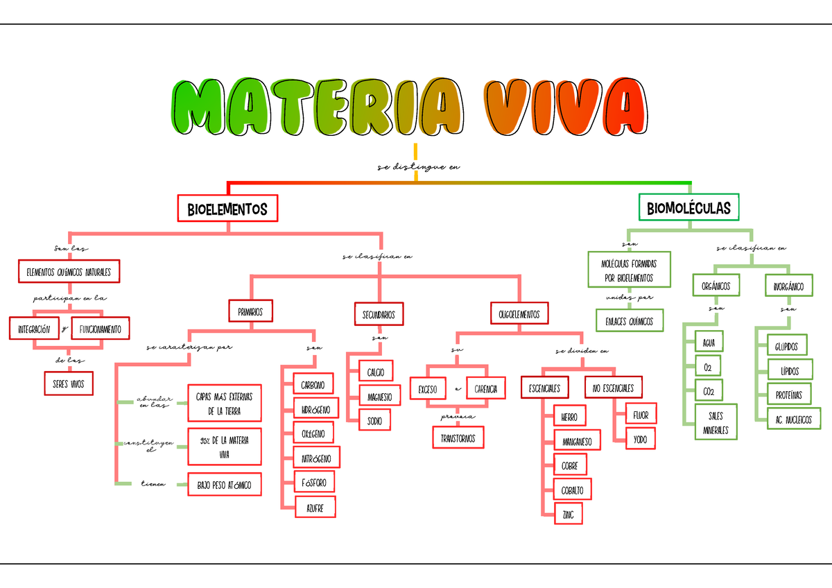 Mapa conceptual- Materia viva - BIOELEMENTOS Son los elementos químicos  naturales participan en la - Studocu