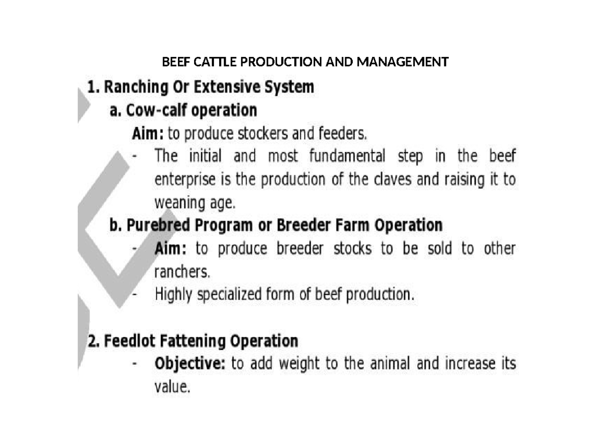 BEEF Cattle Production AND Management - BS in Agribusiness - BEEF ...