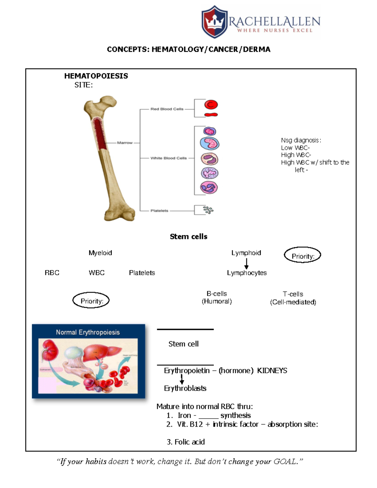 4 - Hematology I [www - CONCEPTS: HEMATOPOIESIS SITE: Nsg diagnosis ...