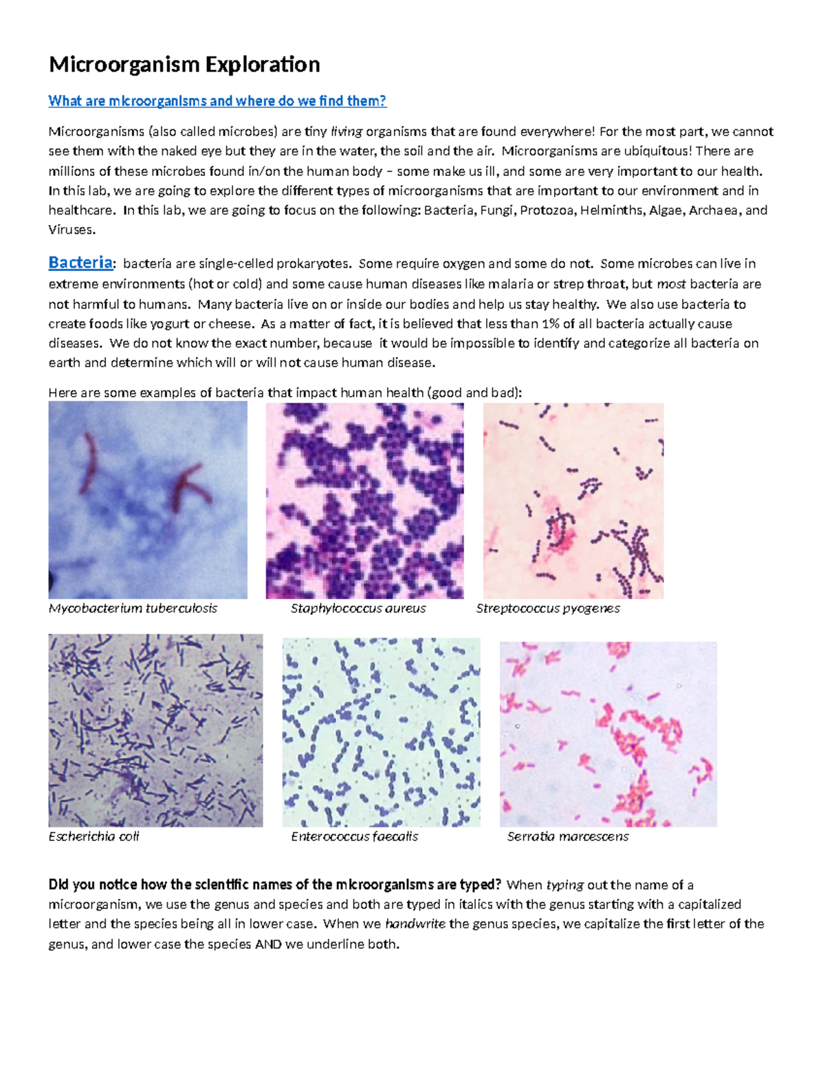 Microorganism Exploration - Microorganisms are ubiquitous! There are ...