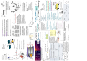 Physics cheat sheet from smarter human beings - Wave Basics: Mechanical ...