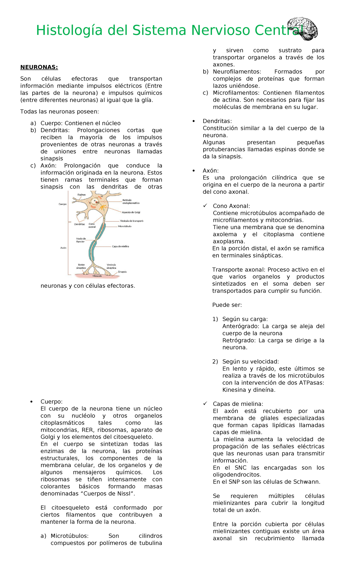 Cap 1 Neuro UNAL - resumen primer capitulo - NEURONAS: Son células ...