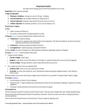 Epithelium Cheat Sheet - Sheet 1 - Name Shape Location Unique Features ...