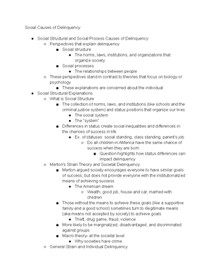 Rational Choice And Individual Causes Of Delinquency ...