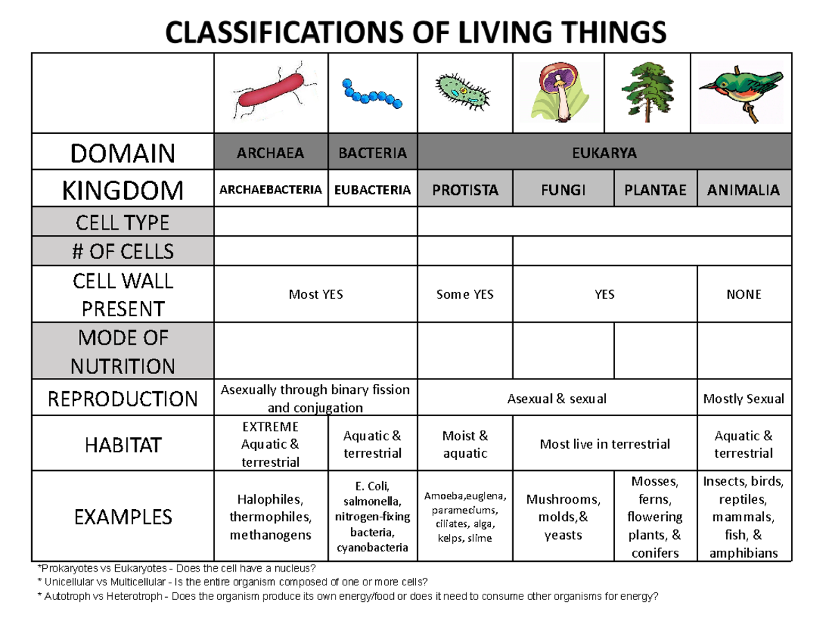 Classification Of Living Things Chart-1 - Domain Archaea Bacteria 