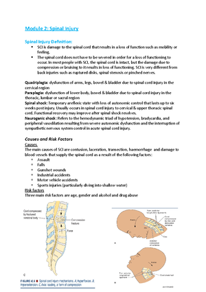 Module 4 Stroke notes - Module 4: Stroke (CVA) Anatomy and physiology ...