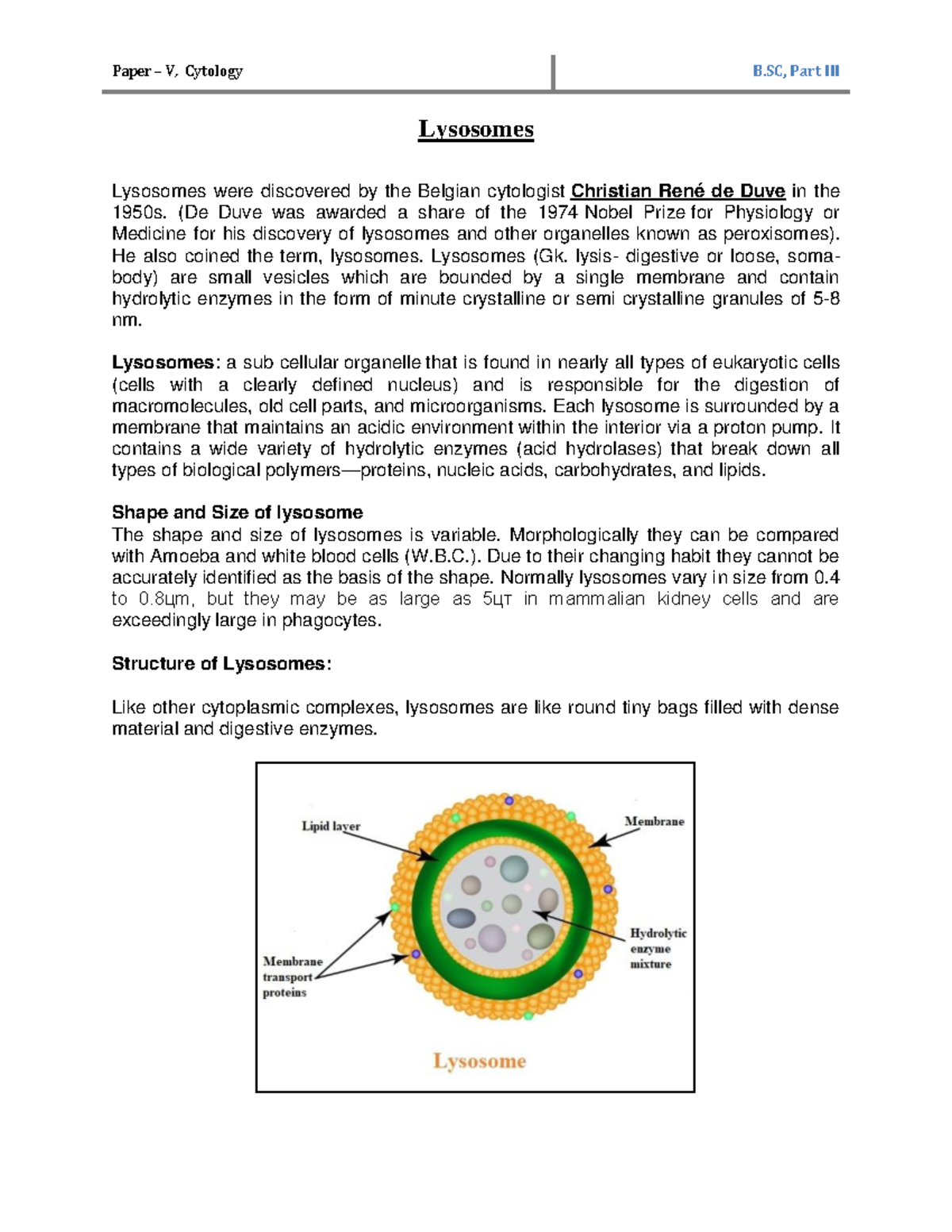 Lysosomes Lysosomes Lysosomes were discovered by the Belgian