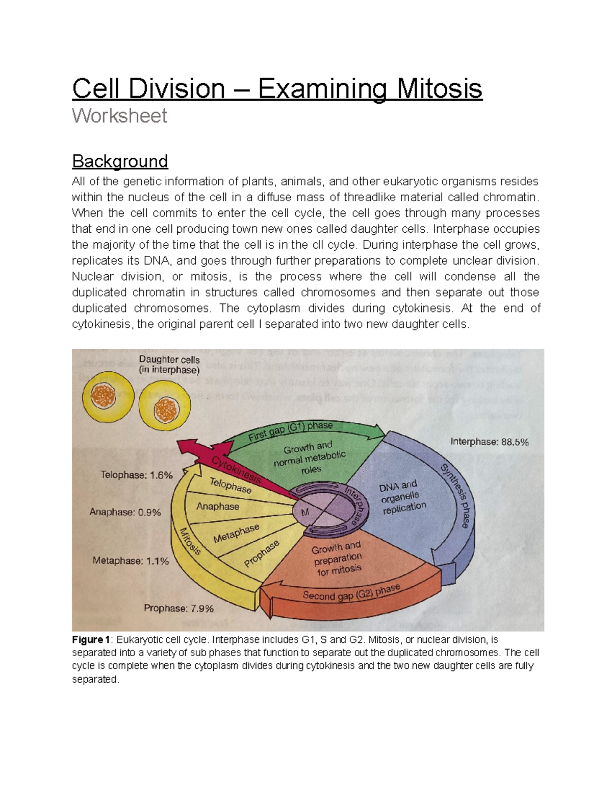 cell division problem solving