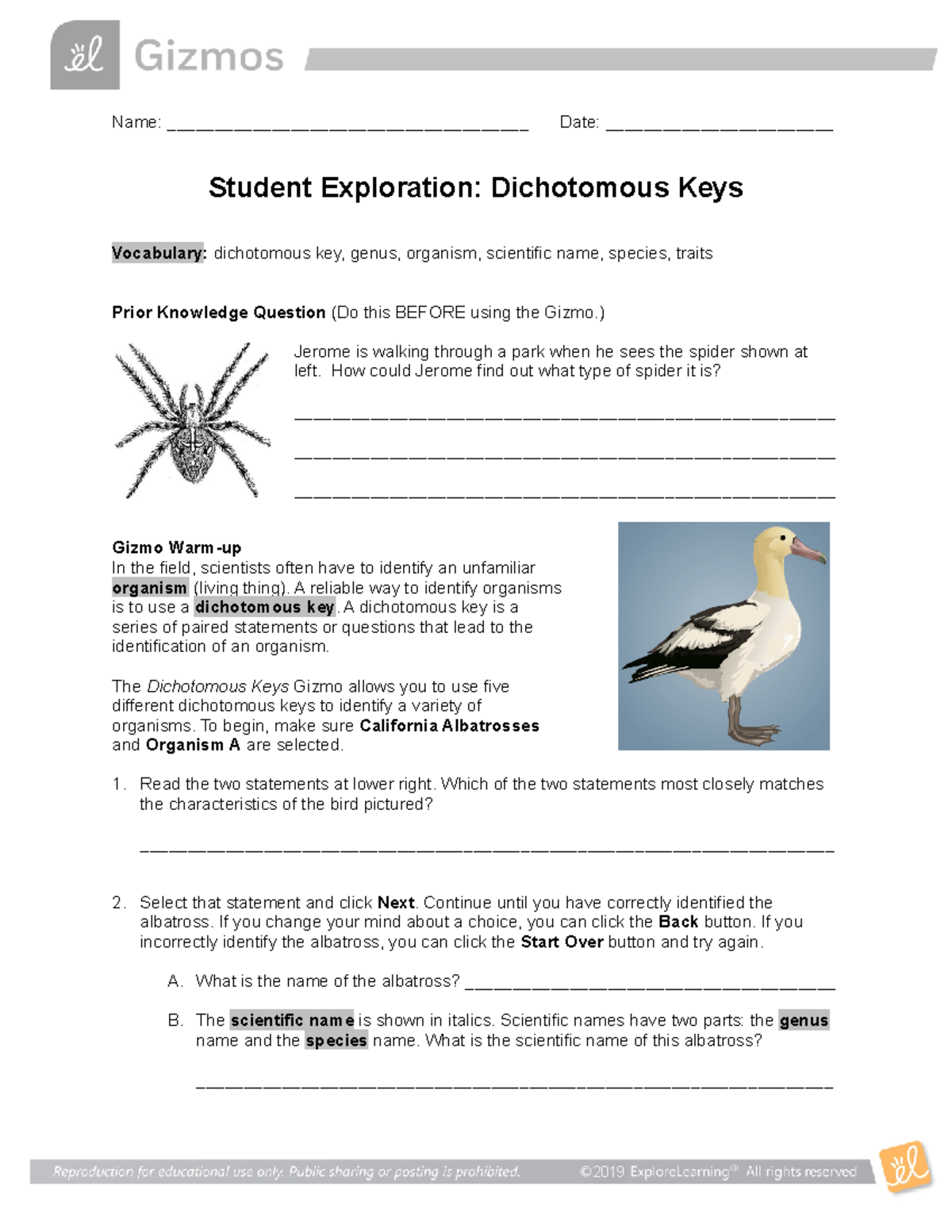 Dichotomous Keys SE-1 hhfhfhfhA cladogram is a branching diagram that ...