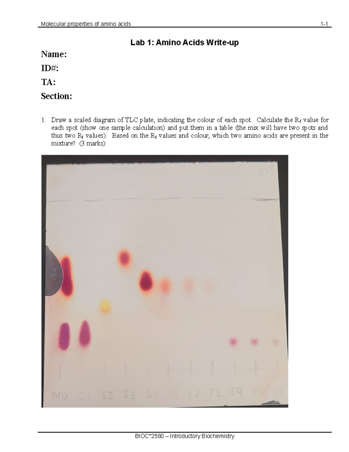 LAB 1 Amino Acids COPY filled out lab for the first one in class