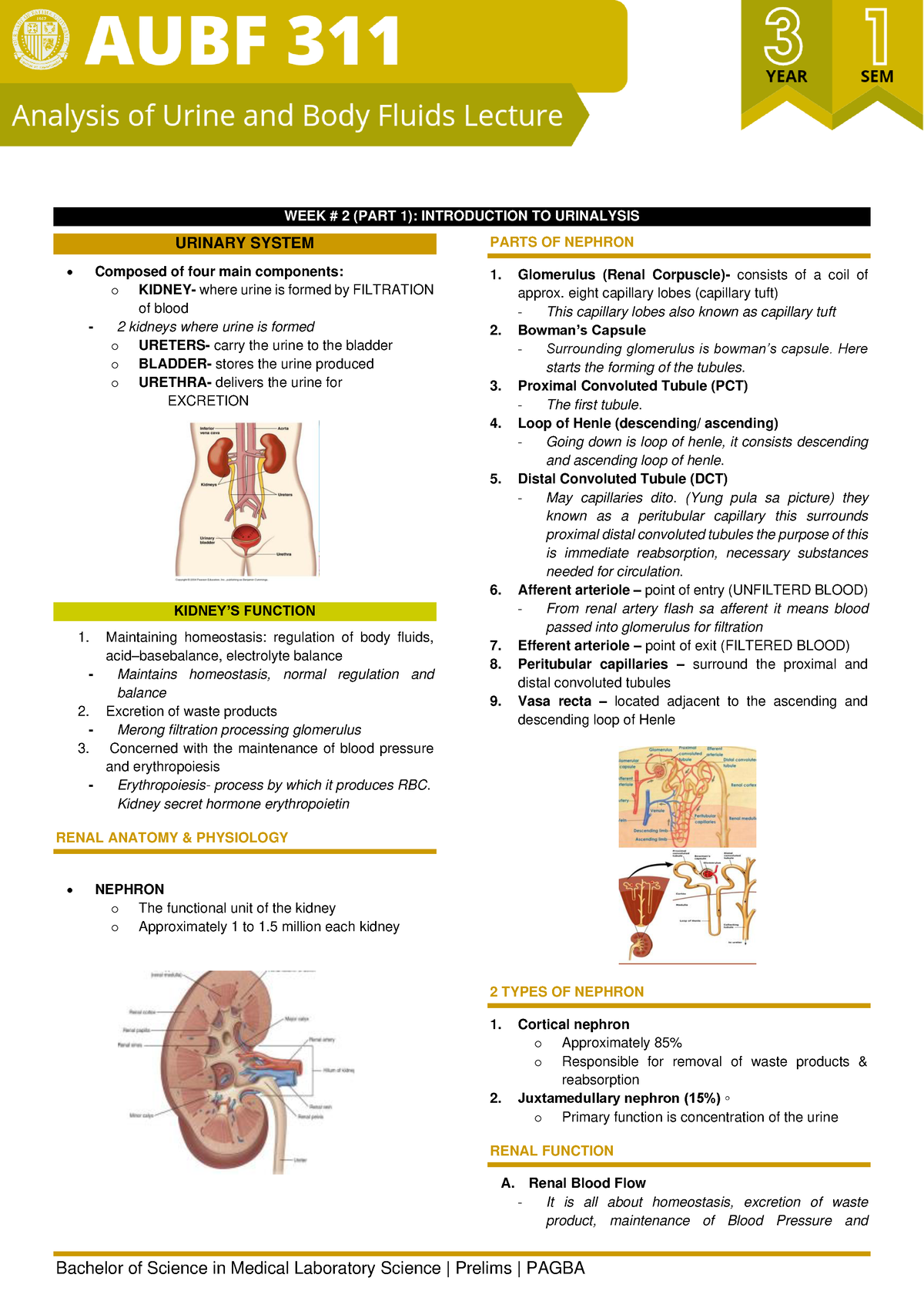 AUBF 311 WEEK 2 Introduction TO Urinalysis PART 1 - WEEK # 2 (PART 1 ...