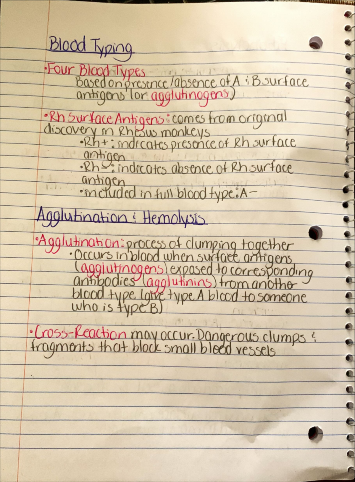 Anatomy 221 Notes - ####### Blood Typing. •Four Blood Types Based On o ...