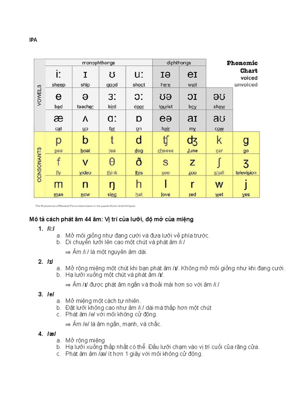 practicing ipa at home - IPA Mô tả cách phát âm 44 âm: Vị trí của lưỡi ...