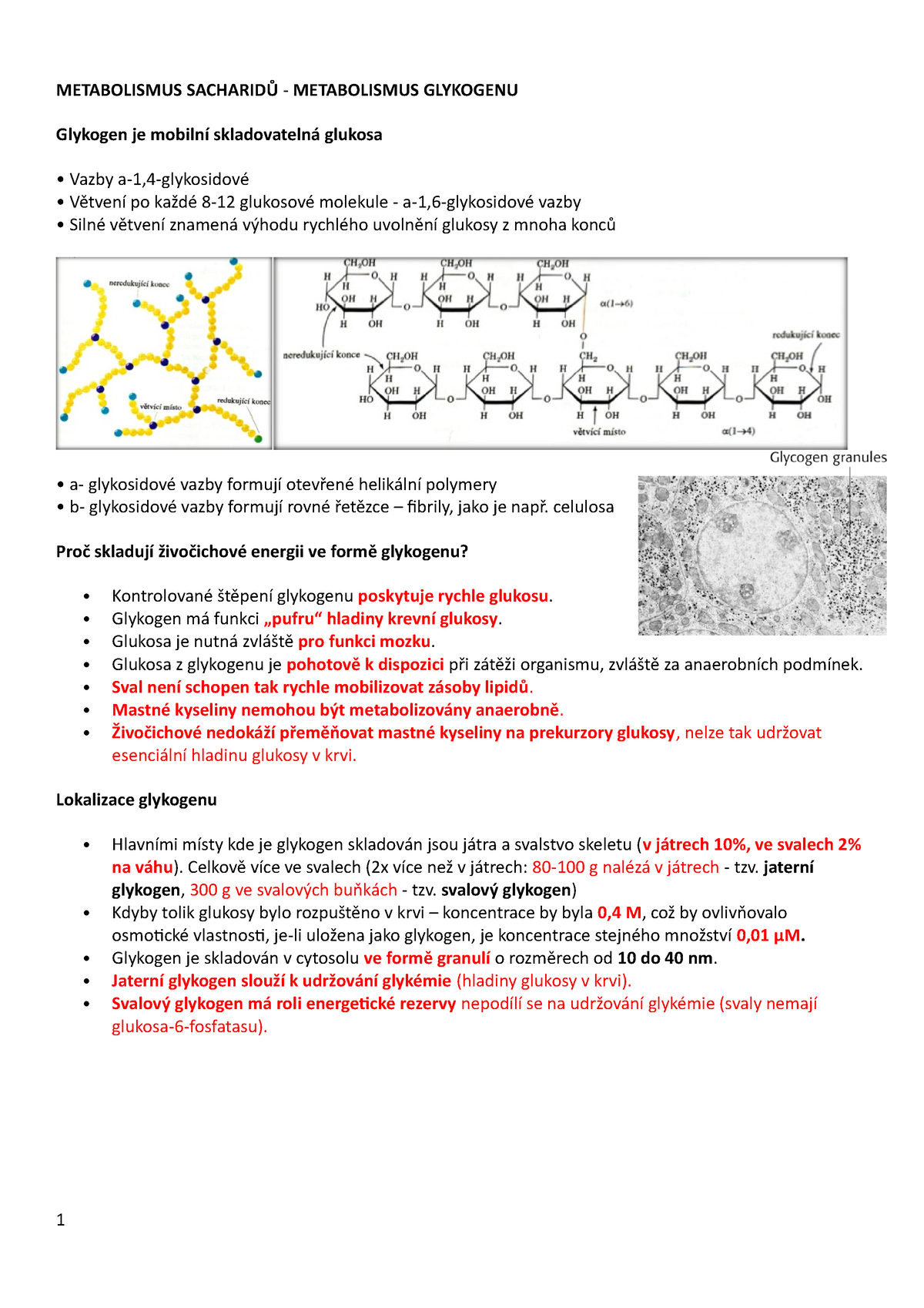 Biochemie 8 - Prezentace 8 Ve Wordu - METABOLISMUS SACHARIDŮ ...