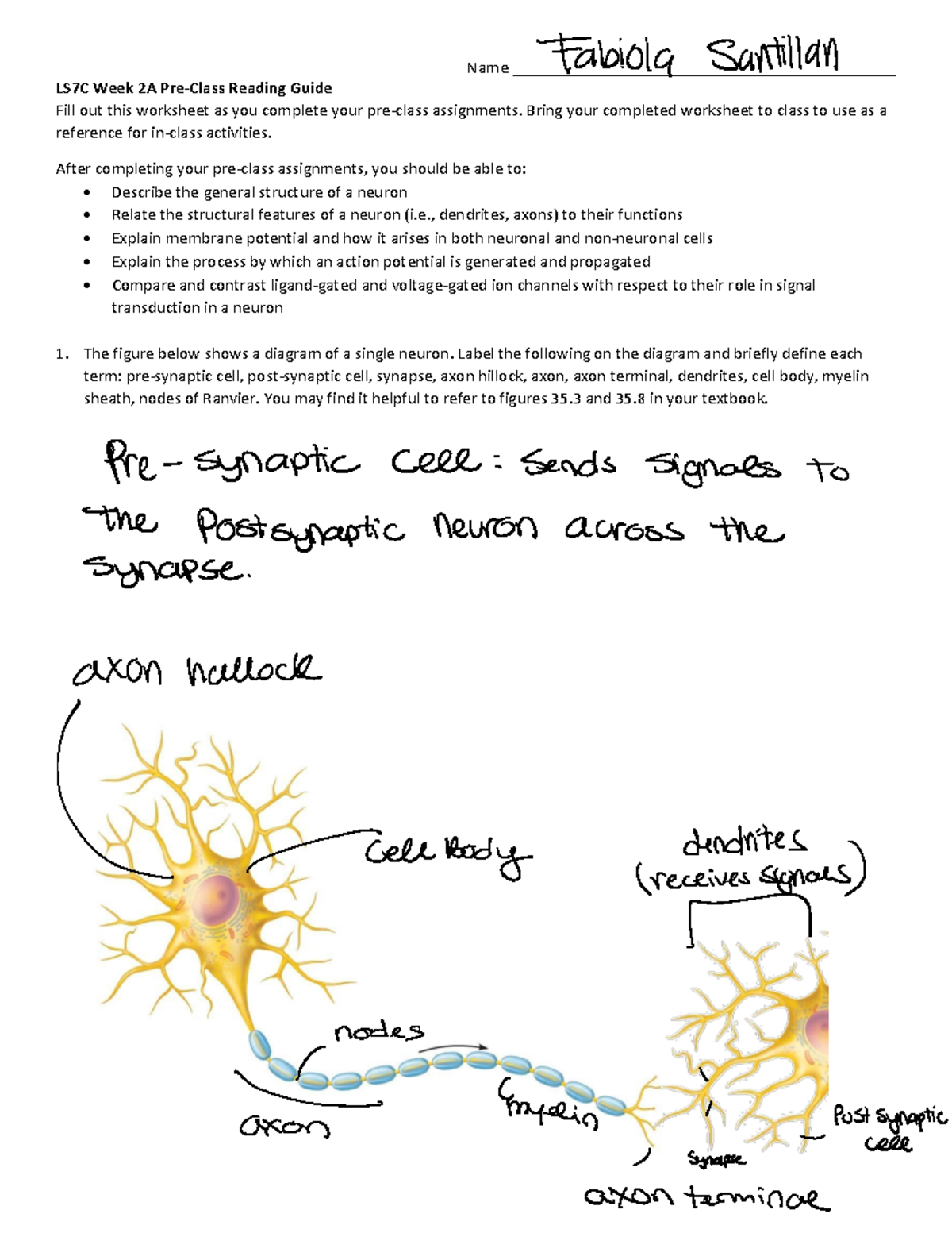 LS7C+Week+2A+Pre-Class+Reading+Guide - Name