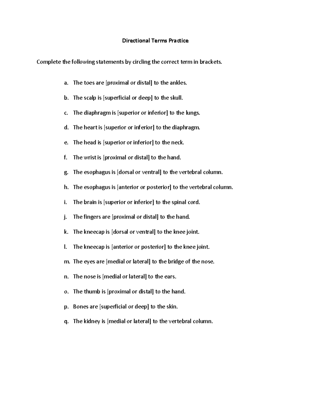 Directional Terms Quiz - Directional Terms Practice Complete the ...