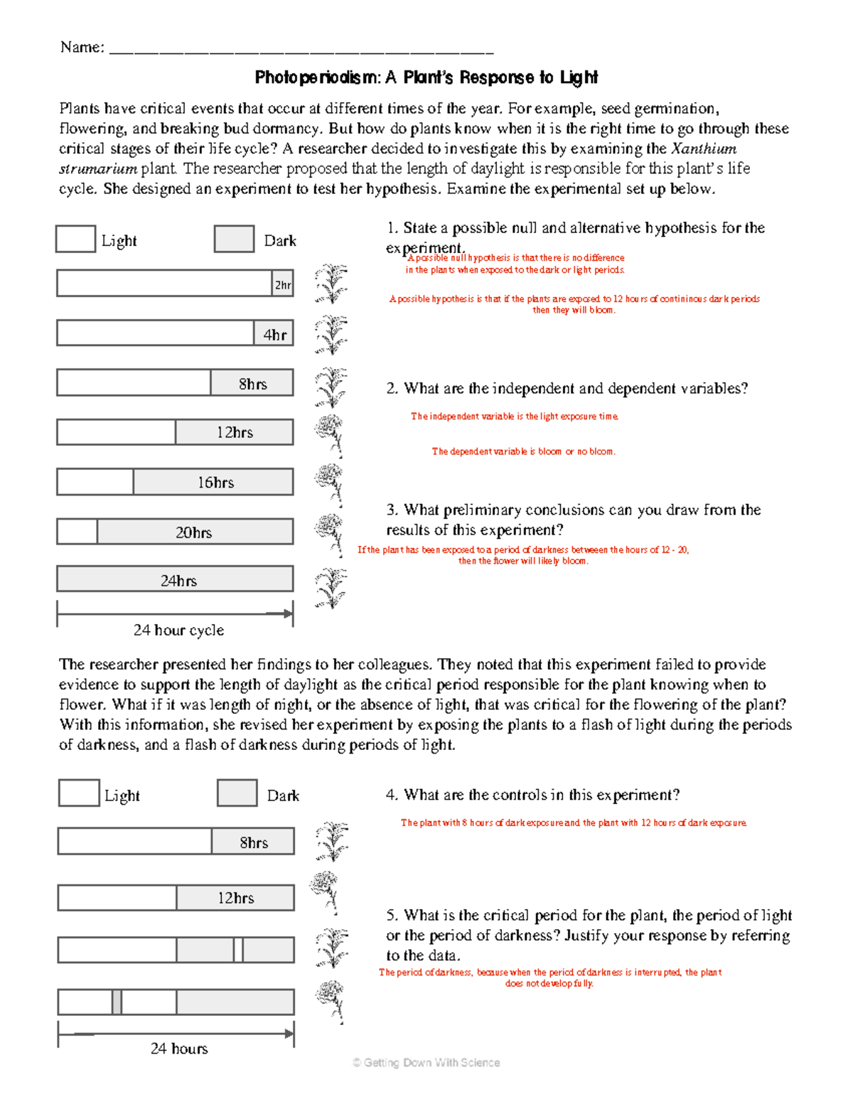 Photoperiodism A Plant's Response to Light - Photoperiodism: A Plant’s ...