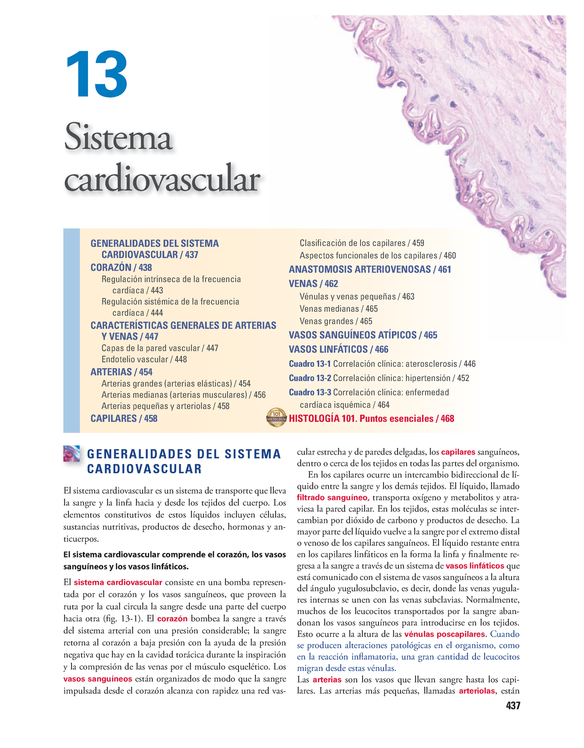 Histolog Ía Texto Y Atlas Ross 7 Edicion - 437 G E N E R A L I D A D E ...