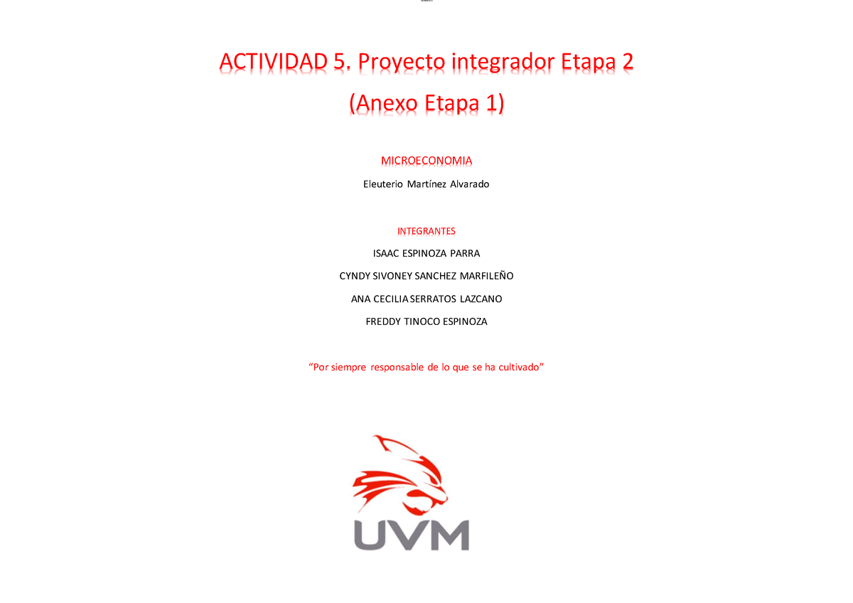 Actividad 5. Proyecto Integrador Etapa 2 - ACTIVIDAD 5. Proyecto ...