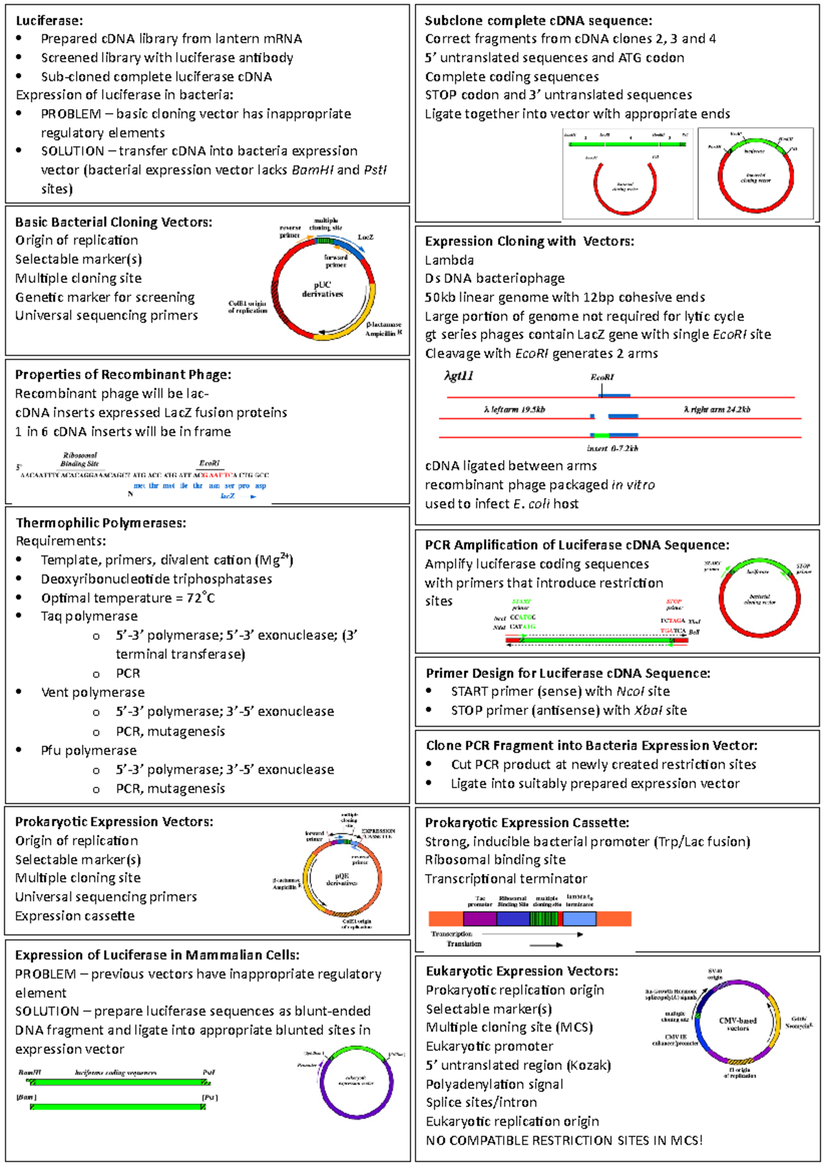 Cloning Case Study 2 Subclone complete cDNA sequence Correct
