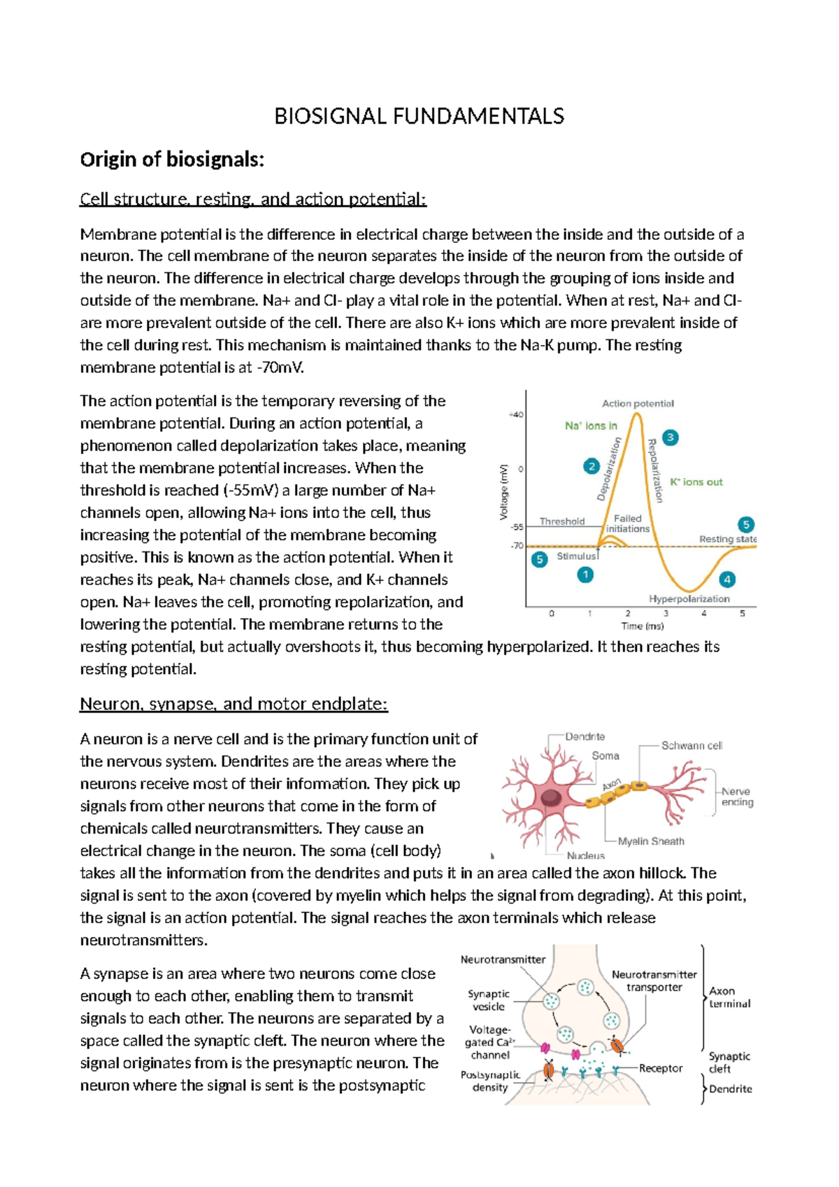 Module 1 - Biosignals Fundamentals - BIOSIGNAL FUNDAMENTALS Origin of ...