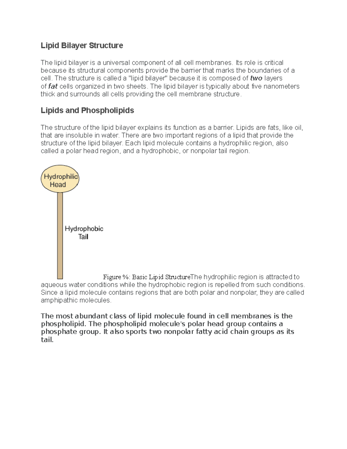 The Lipid Bilayer - Lipid Bilayer Structure The lipid bilayer is a ...