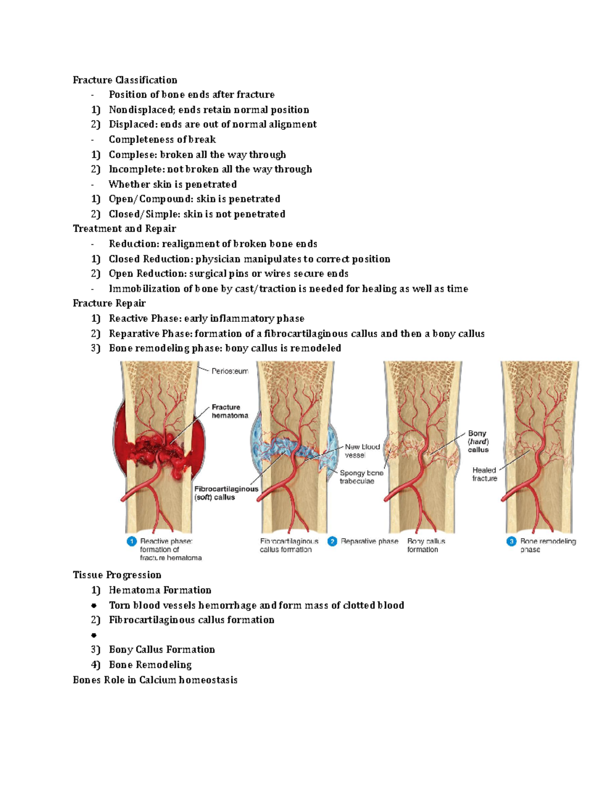 lecture-bone-fractures-fracture-classification-position-of-bone