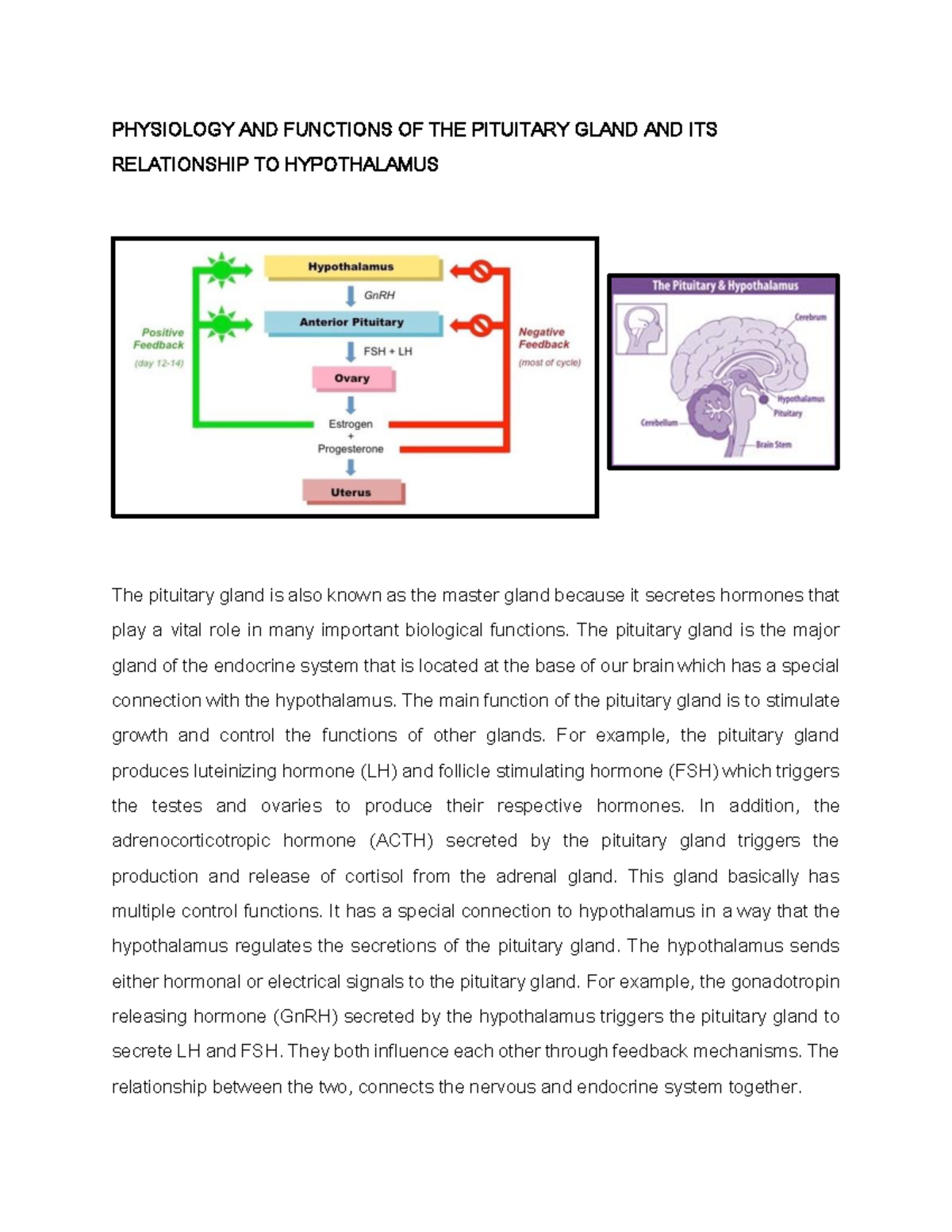 Physiology AND Functions OF THE Pituitary Gland - PHYSIOLOGY AND ...
