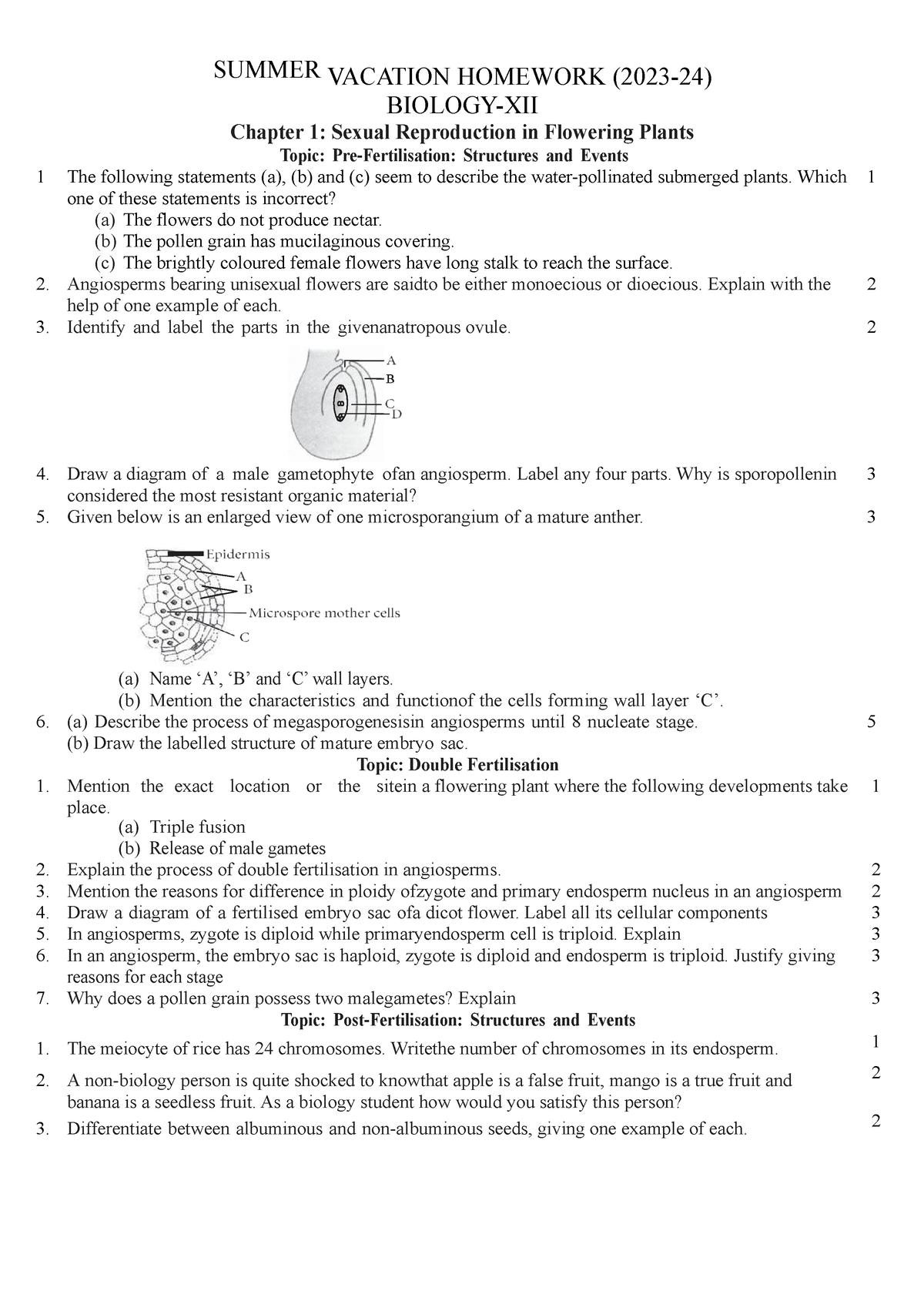 class 10 summer vacation homework 2023 24