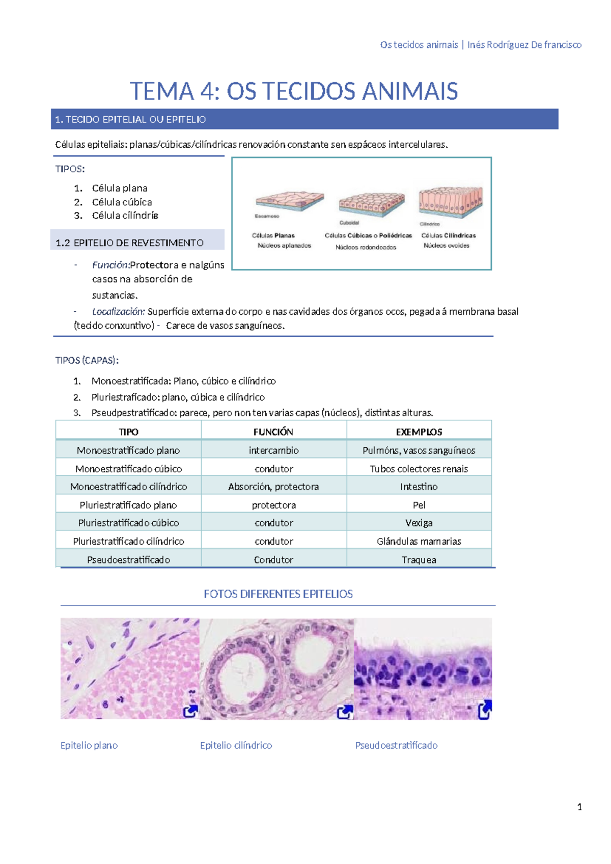 BIO TEMA 4 - TEMA 4: OS TECIDOS ANIMAIS 1. TECIDO EPITELIAL OU EPITELIO ...