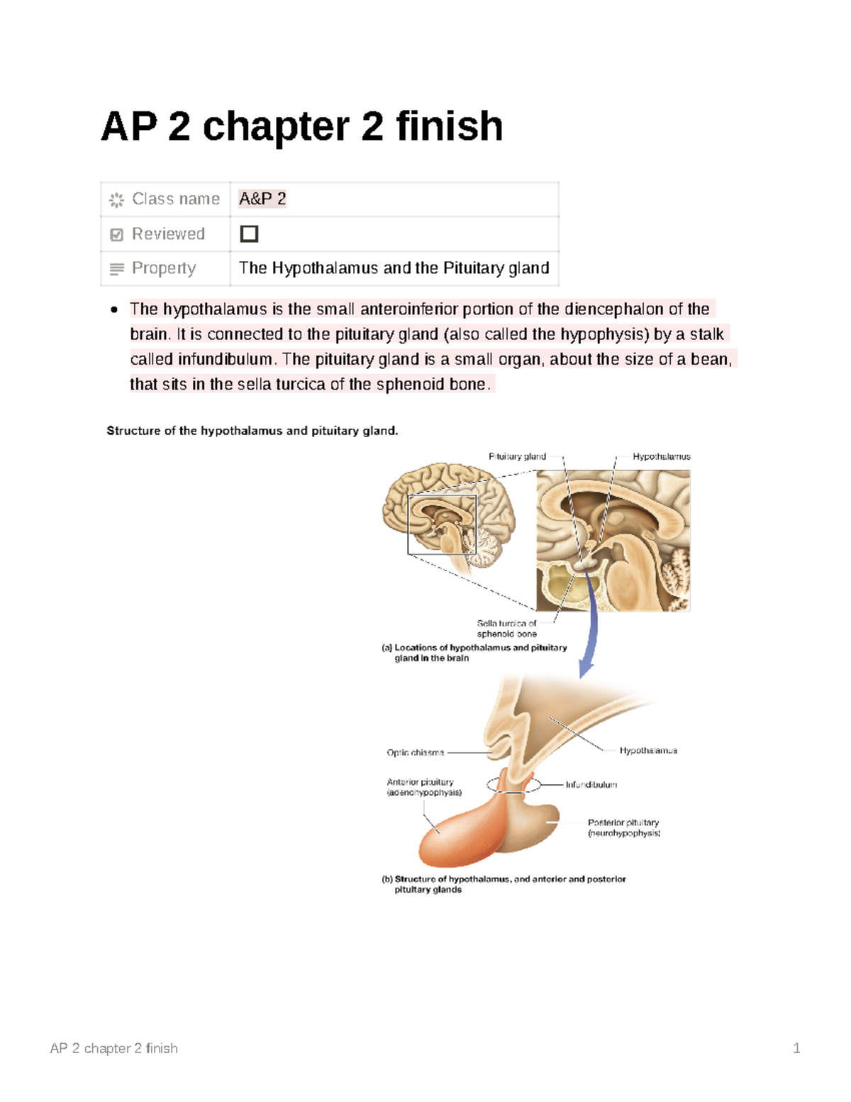 AP 2 Chapter 2 Finish - AP 2 Chapter 2 Finish Class Name A&P 2 Reviewed ...