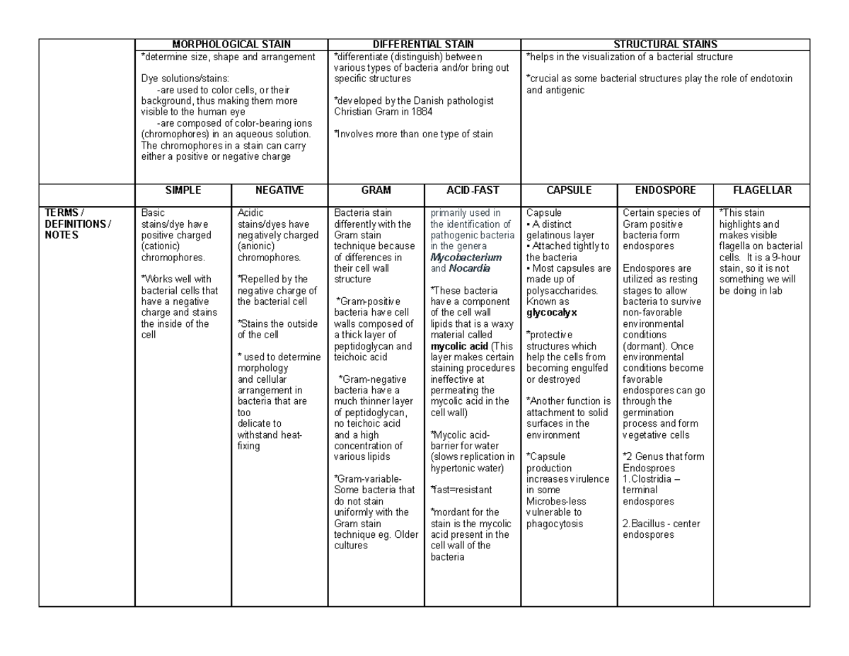 Stains - MORPHOLOGICAL STAIN DIFFERENTIAL STAIN STRUCTURAL STAINS ...