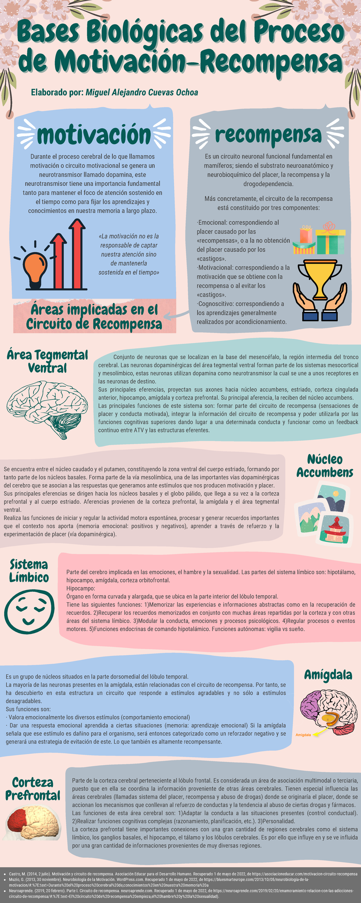 Bases Biológicas Del Proceso De Motivación-Recompensa - Infografía ...