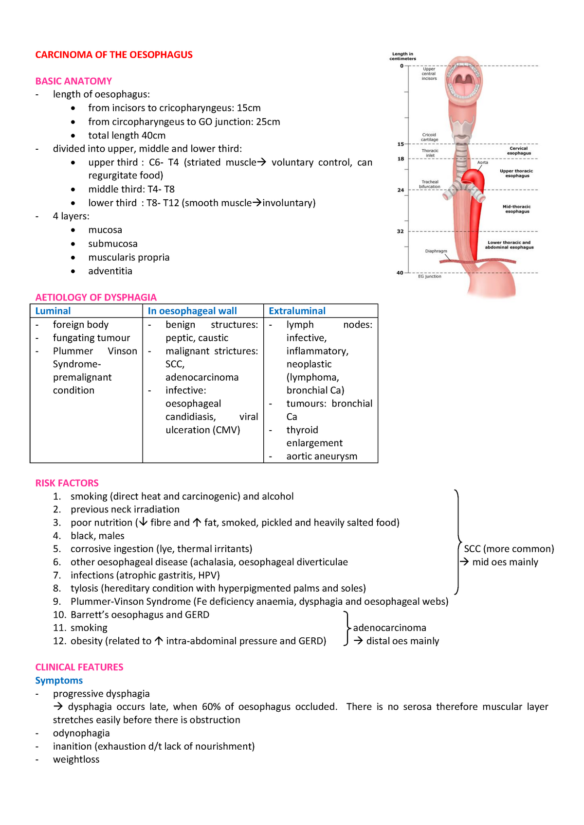 Surgery summaries - surgical notes - CARCINOMA OF THE OESOPHAGUS BASIC ...