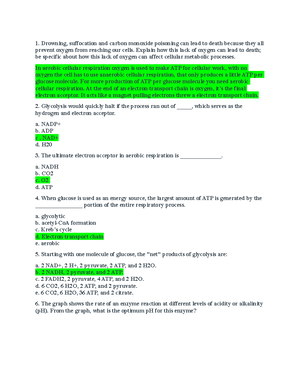 Unit 1 Experiment - WEEK 1 EXPERIMENT ANSWER SHEET Please Submit To The ...