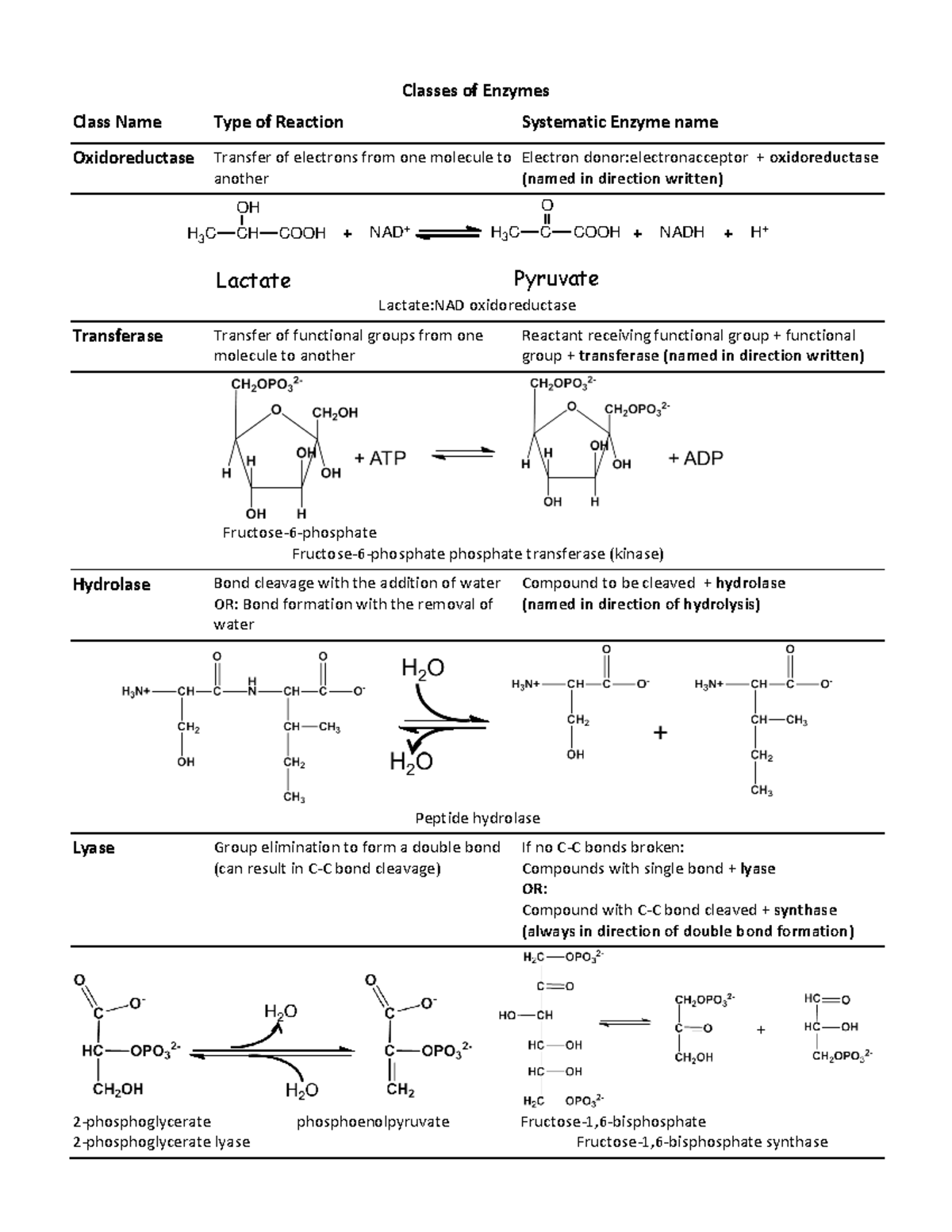 Classes of Enzymes n/a Classes of Enzymes Class Name Type of