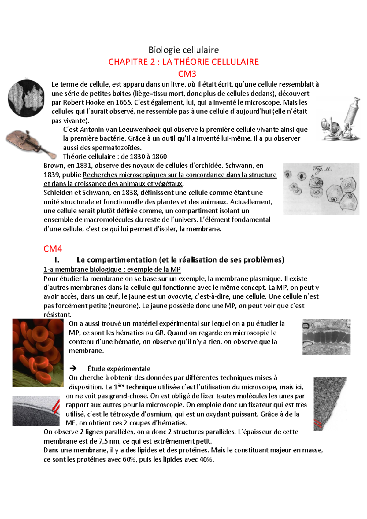 Chap2 Biologie Cellulaire Biologie Cellulaire Chapitre 2 La ThÉorie Cellulaire Cm Le Terme 1041