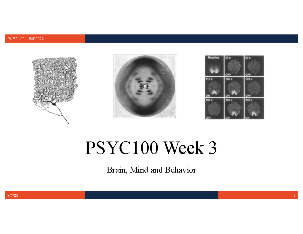 Psyc100 Ch3 Slides TUE - Ch 3 Tuesday PPt - PSYC100 Week 3 Brain, Mind ...